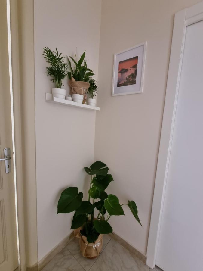 Etna Ocean Rooms Катания Экстерьер фото